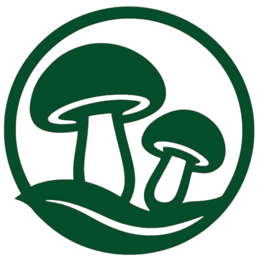 قارچ لاچین | قارچ دکمه ای با کیفیت در زنجان با عرضه و پشتیبانی مستقیم از تولیدکنندگان