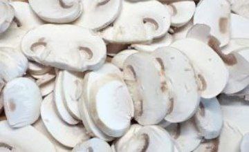 قارچ اسلایس شده در بسته بندی های 5 کیلوگرمی | قارچ لاچین