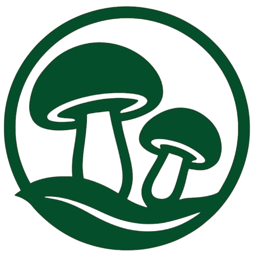 قارچ لاچین | قارچ دکمه ای با کیفیت در زنجان با عرضه و پشتیبانی مستقیم از تولیدکنندگان